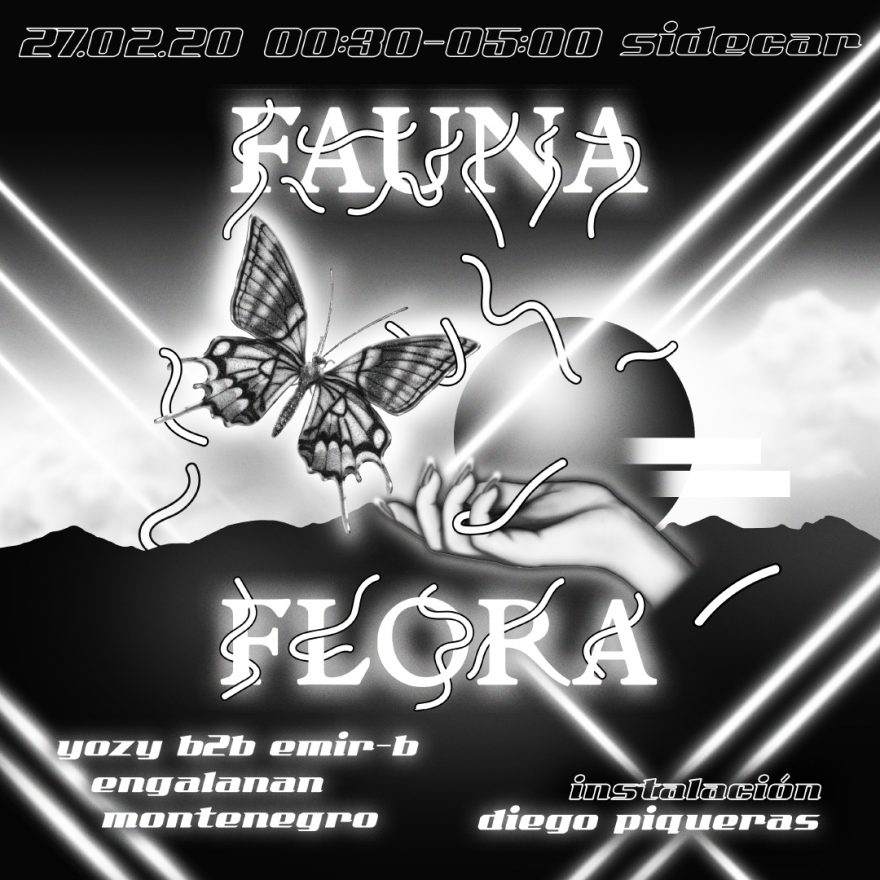2020-02-27 Fauna y Flora